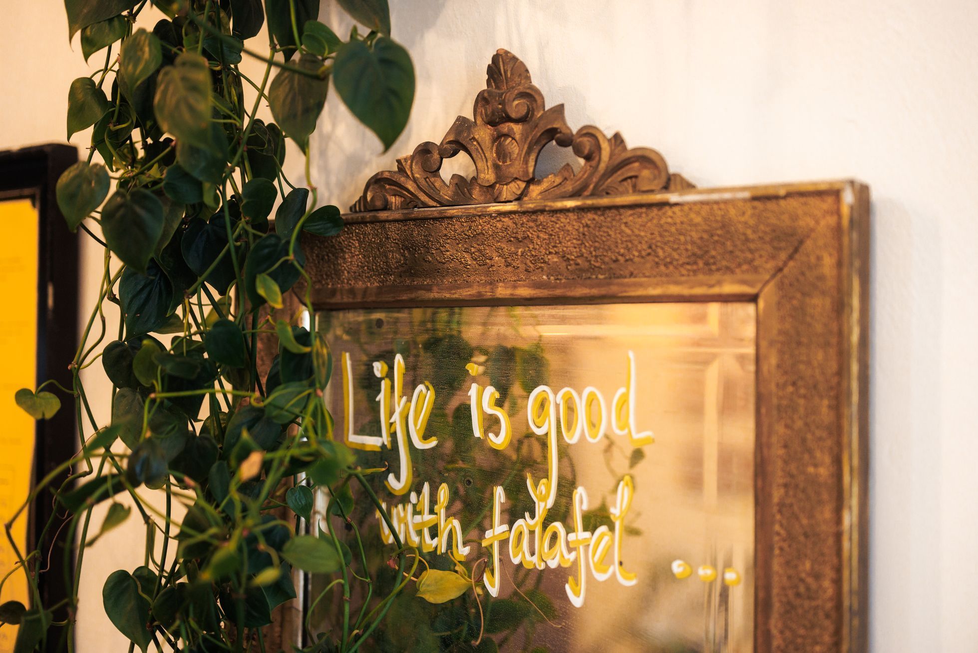 Bistro Falafelo, Brno