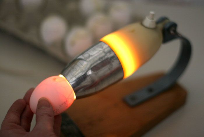 Prosvícené vajíčko