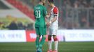 Fotbalové derby Slavia vs. Sparta (Koubek, Škoda)