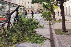 Silný vítr se prohnal Českem, bez proudu jsou stále tisíce domácností