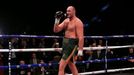 Tyson Fury vs. Christian Hammer