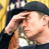 Trump Musk