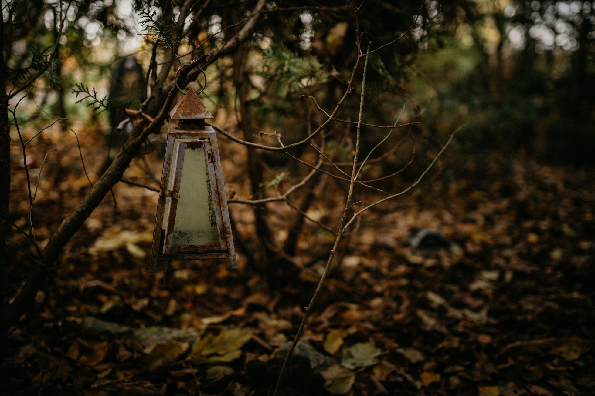 hřbitov Bohnice hřbitov bláznů