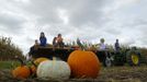 A family returns from the pumpkin fields with their selections for Halloween at Mayne's Tree Farm in Buckeystown, Maryland October 27, 2012. Halloween is four days away. REUTERS/Gary Cameron (UNITED STATES - Tags: SOCIETY) Published: Říj. 27, 2012, 8:52 odp