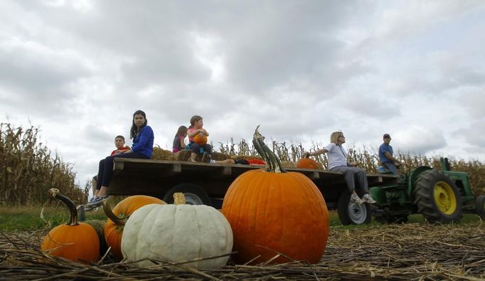 A family returns from the pumpkin fields with their selections for Halloween at Mayne's Tree Farm in Buckeystown, Maryland October 27, 2012. Halloween is four days away. REUTERS/Gary Cameron (UNITED STATES - Tags: SOCIETY) Published: Říj. 27, 2012, 8:52 odp