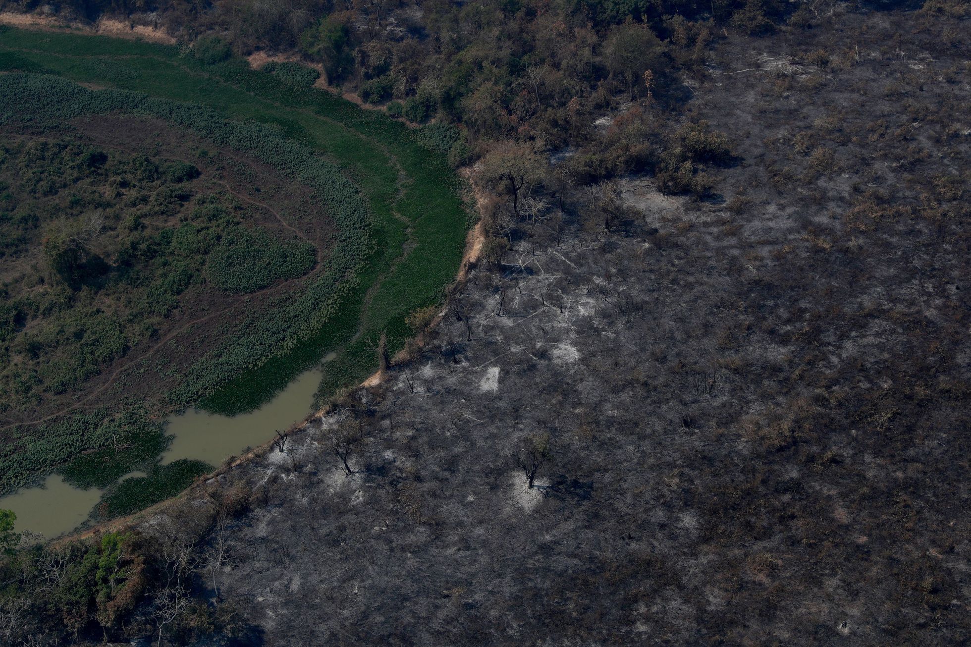 V Brazílii hoří největší mokřad světa Pantanal