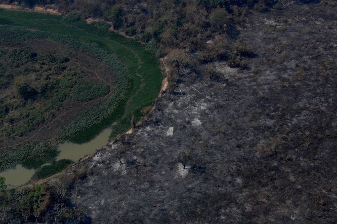 V Brazílii hoří největší mokřad světa Pantanal.