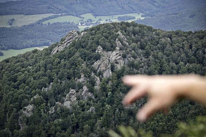 Jizerskohorské bučiny