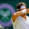 Wimbledon 2011: Federer