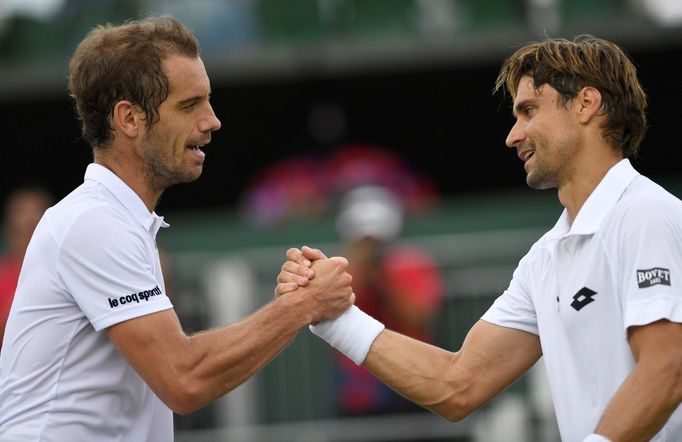 David Ferrer