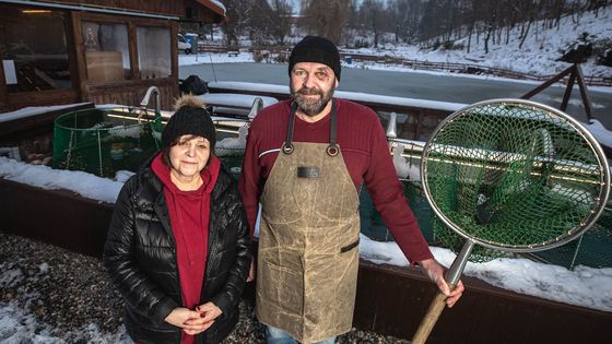 Obnovili vyschlý rybník a naučili lidi jíst kapra. U Kalendů nakupují i kuchařská esa