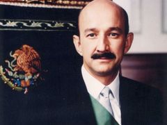 Můj bratr má ve Švýcarsku 120 milionů. Bývalý mexický prezident Salinas.