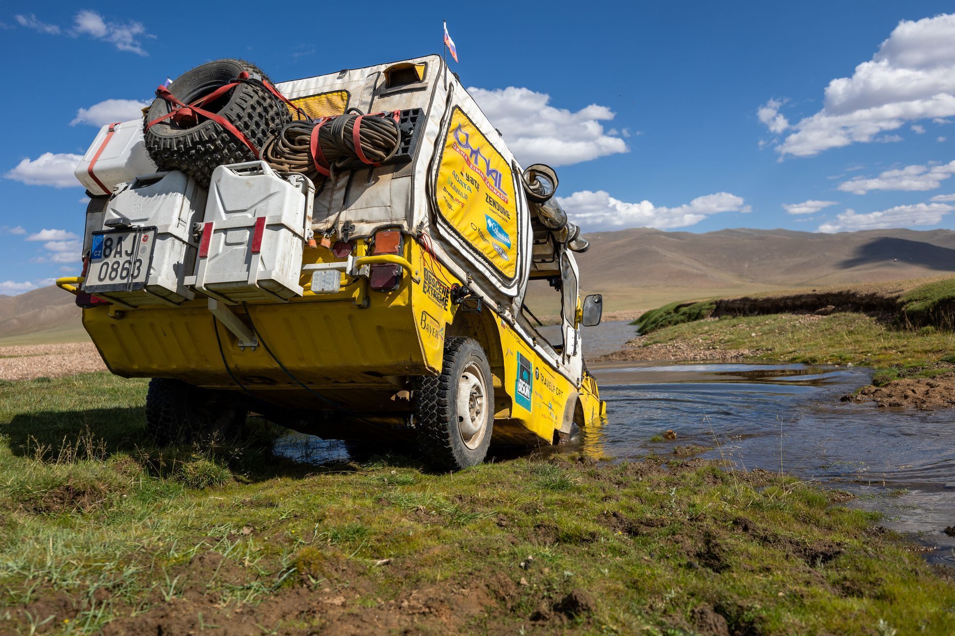 Žlutá žába pluje