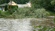 V Plzeňském kraji zaměstnaly hasiče především popadané stromy na Šumavě.