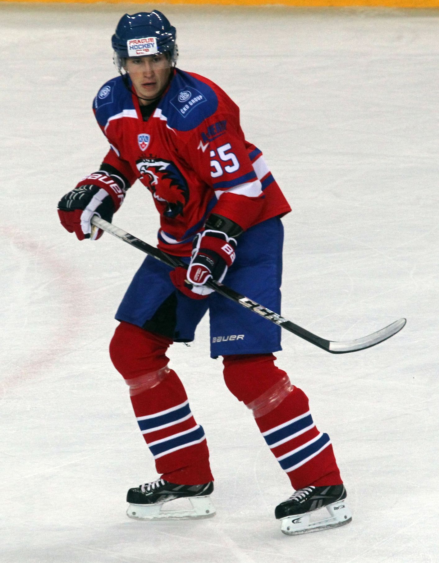 Hokejisté HC Lev Praha v přípravě (Ševc)