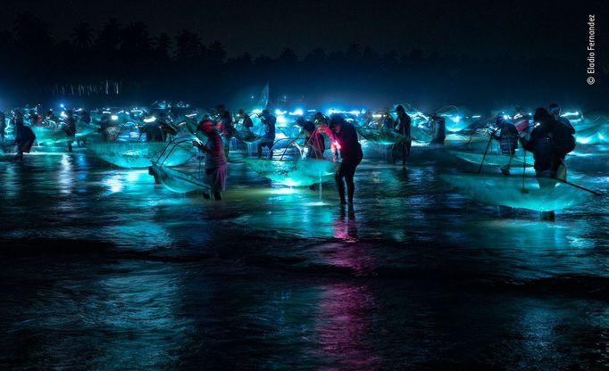 Wildlife Photographer of the Year: fotografie, které se utkají o cenu diváků