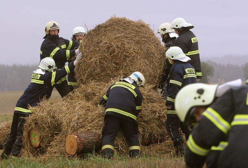Cvičení hasičů - likvidace chovu krav