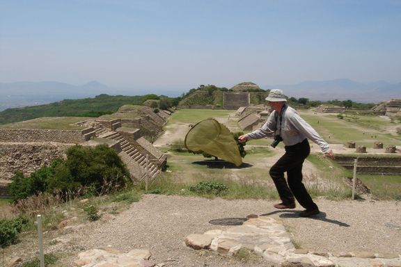 Jiří Tichota lovil motýly i na mexických pyramidách v roce 2007.