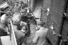 Studenti pražských středních škol skládají brambory na smíchovském nádraží. Rok 1943.