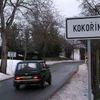 Obec Kokořín