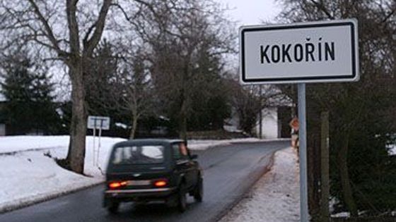 Kokořín