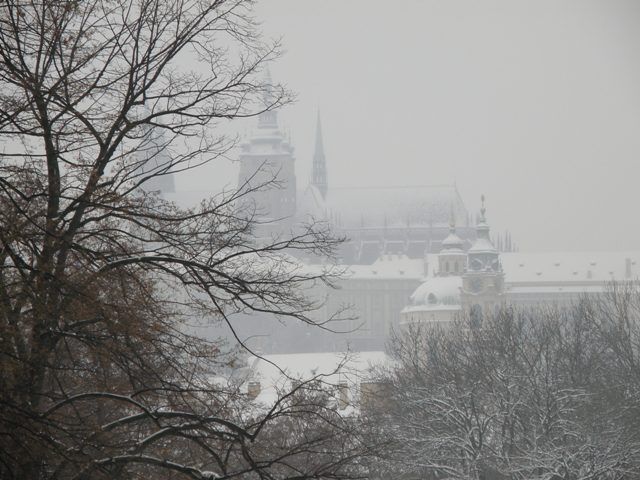 zima ocima ctenarky