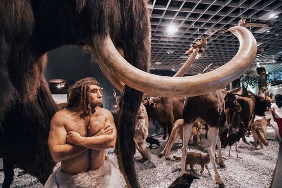 Tato izolace byla pro bratrance homo sapiens nepředstavitelná, zejména proto, že údolí Rhony bylo v té době jedním z hlavních migračních koridorů.