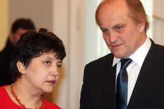 Czech govt says racism spreading to politics