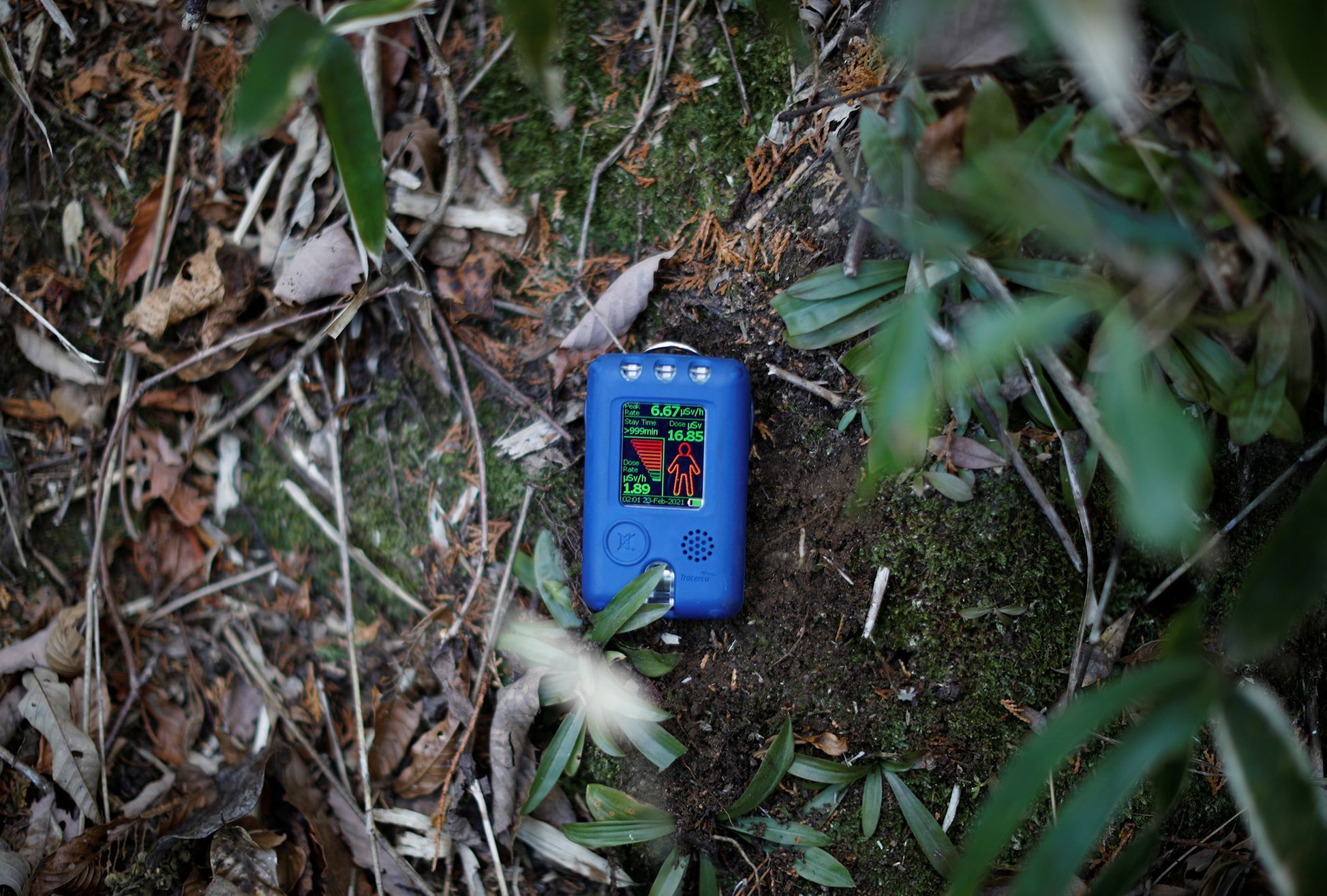 Fotogalerie / Tak pracuje spasitel opuštěných koček v japonské Fukušimě