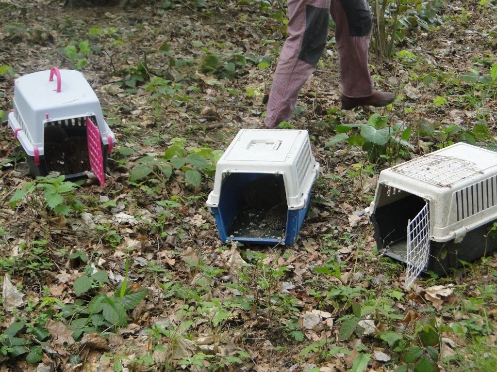 Zachráněná zvířata - záchranné stanice - ČSOP