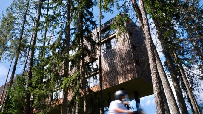 Největší stromový hotel v Itálii stojí na kuřích nohách. Ubytovává jen dospělé a psy