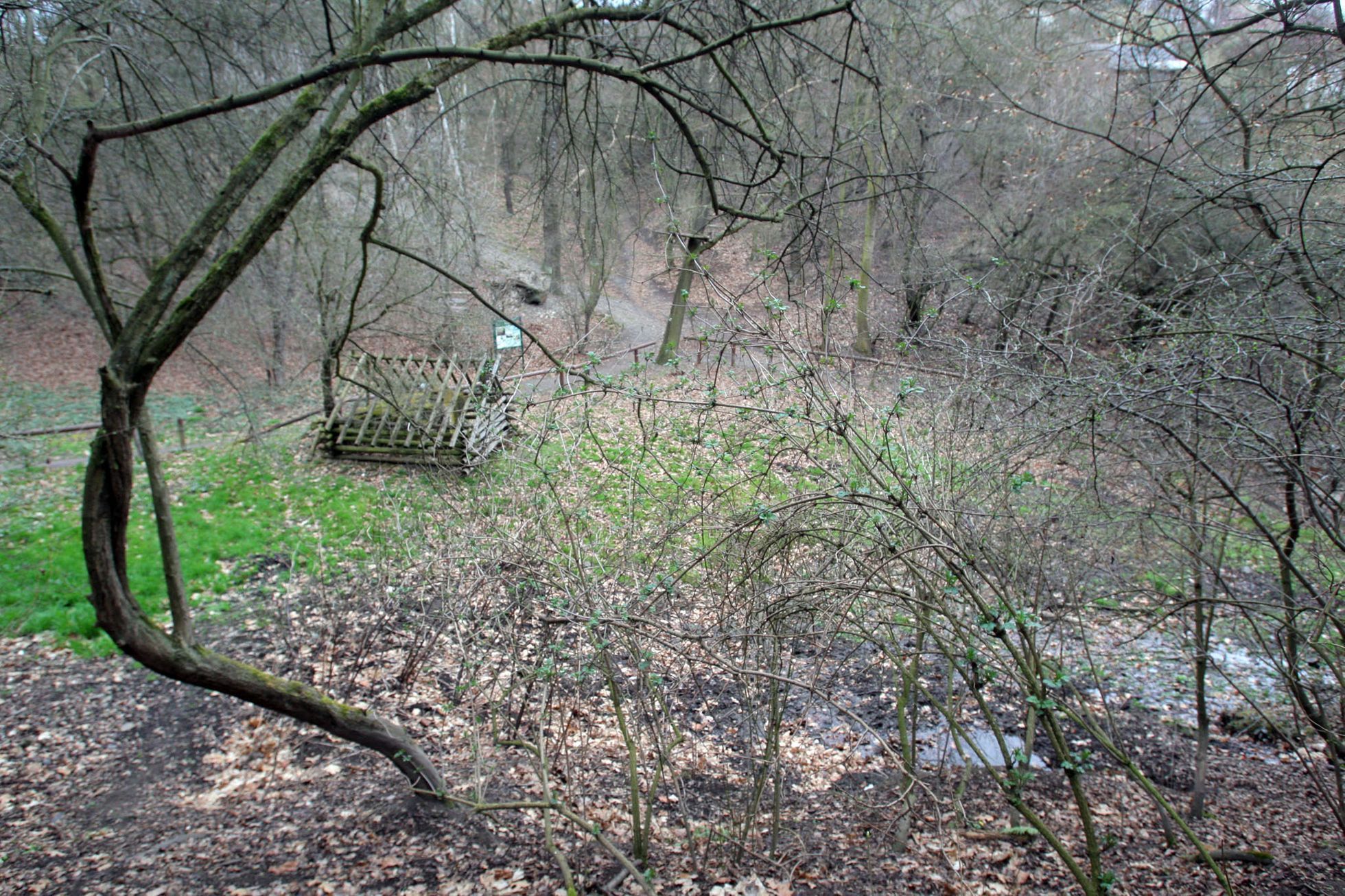 Pražské studánky