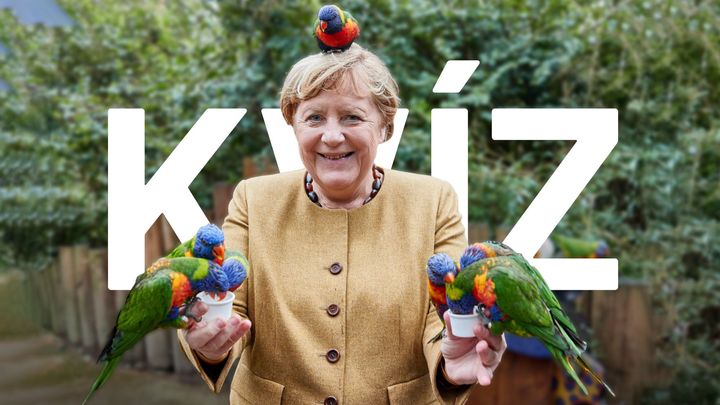 Jakou polévku ráda vaří a kde bydlí? Zkuste si, co víte o Angele Merkelové; Zdroj foto: Reuters