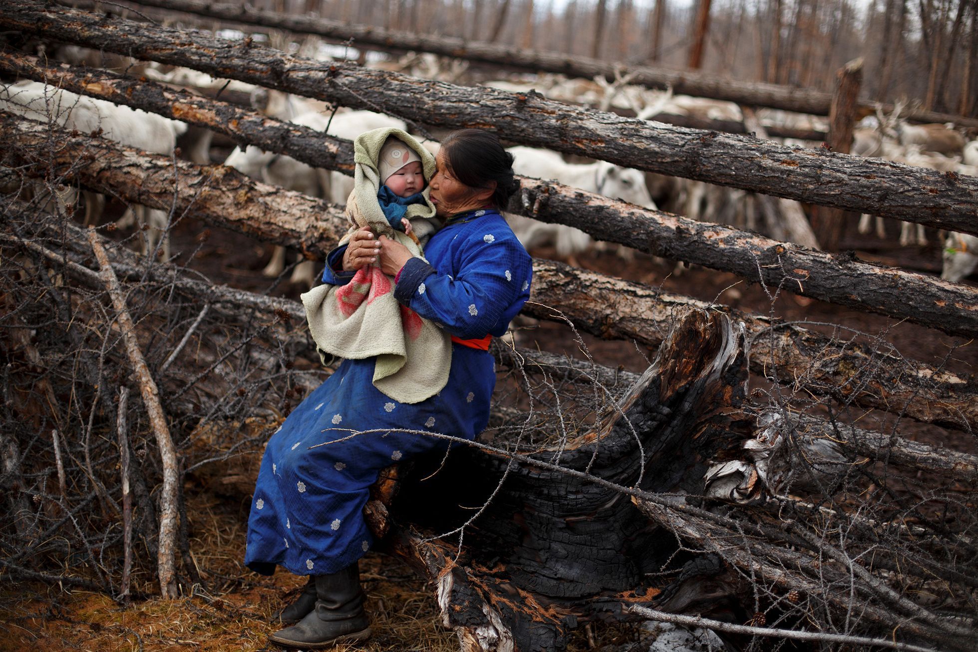 FOTOGALERIE / Život kočovných pastýřů v Mongolsku / Reuters / rok 2018 / 18