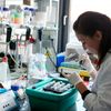 Univerzitní kampus v Brně-Bohunicích (laboratoř)