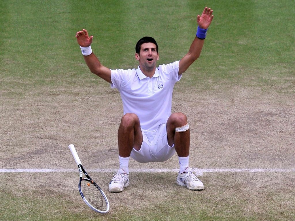 Wimbledon 2011: Djokovič - Tsonga