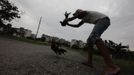 A youth trains his fighting cockerel in Havana June 25, 2012. In Cuba, it's legal to own cocks, it's legal to train them to fight and it's legal to fight them, but since the 1959 Cuban Revolution all forms of betting and gambling have been strictly forbidden. But betting on cock fights is an activity so popular among Cubans that stopping it would pose a huge challenge for the authorities and would be counterproductive to keeping law and order. Picture taken June 25, 2012. REUTERS/Desmond Boylan (CUBA - Tags: SOCIETY ANIMALS) ATTENTION EDITORS PICTURE 01 OF 23 FOR PACKAGE 'BETTING ON CUBA'S FIGHTING COCKS' . TO FIND ALL PICTURES SEARCH 'FIGHTING COCKS' Published: Čec. 2, 2012, 12:28 odp.