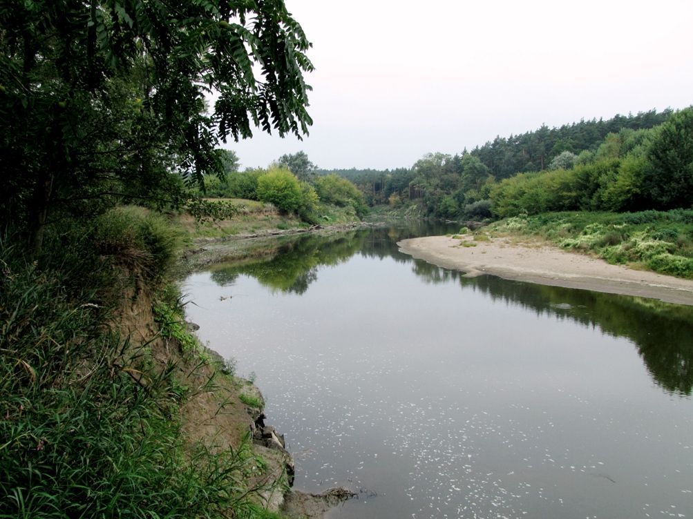 Řeka Morava u Bzence