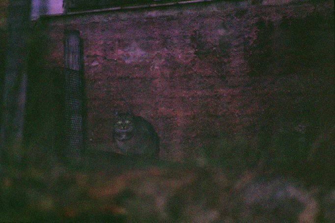 Z cyklu POLACHROME, 1985 © Jan Ságl.