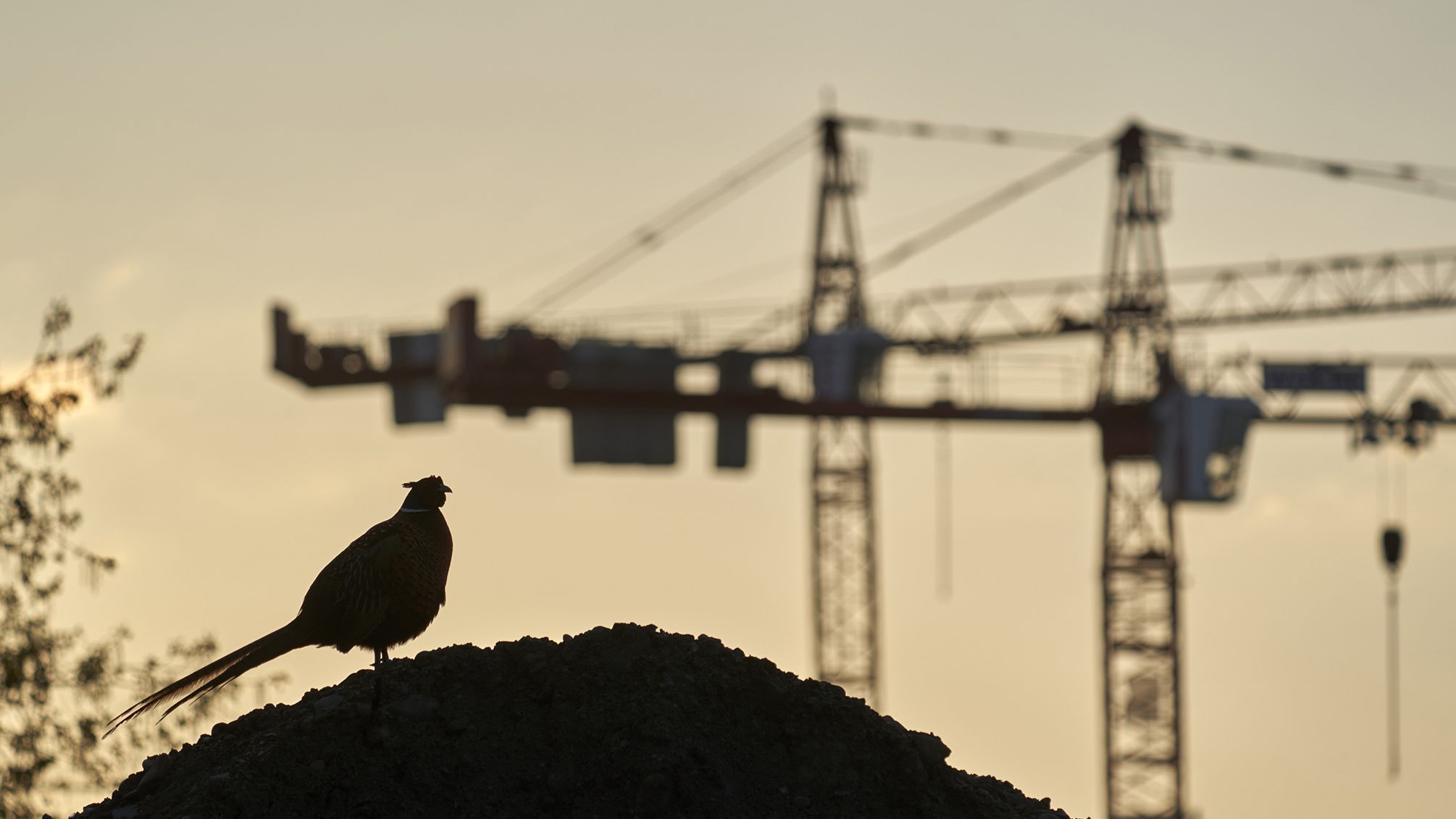 Czech Nature Photo 2023 - nominace