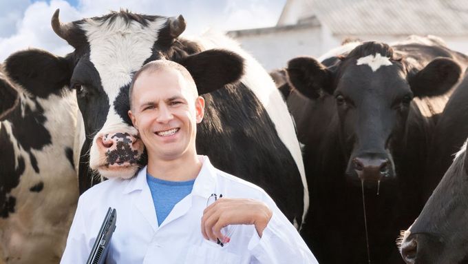 Jen pár stovek krav nakrmí celý svět, říká Mark Post z univerzity v Maastrichtu.