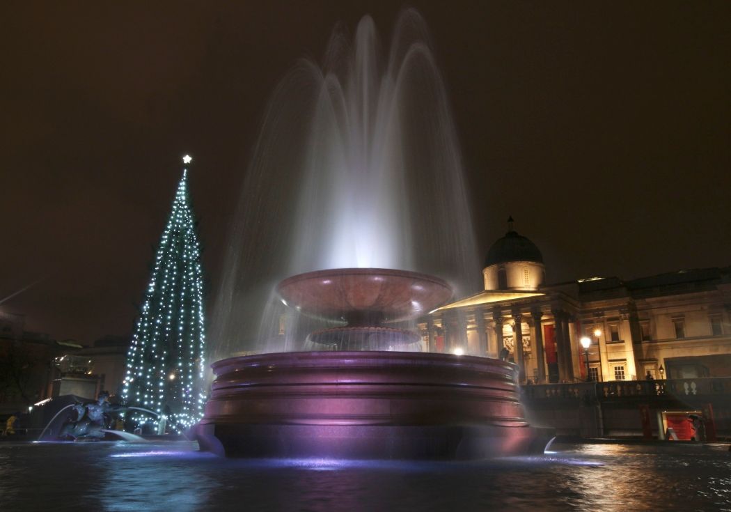 Vánoční strom - London - Trafalgar Square
