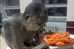 Mumifikovaný mnich není mrtvý. Je ve stavu hluboké meditace