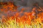 Na Brněnsku hořelo třicetihektarové pole a kombajn. Škoda je téměř osm milionů korun