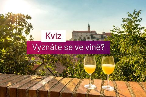 Vinařský kvíz: Kolik vína vypije průměrný Čech a jak silný má být dobrý burčák?