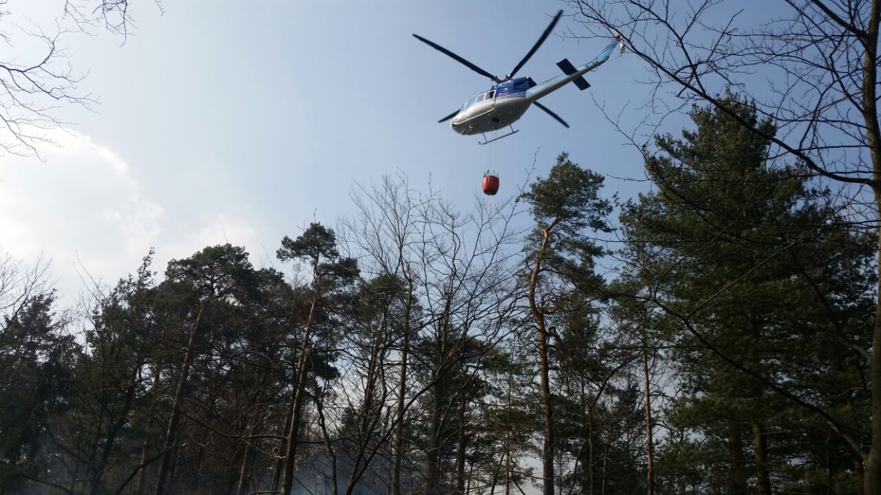 Hasiči likvidují požár na Červeném vrchu v Děčíně