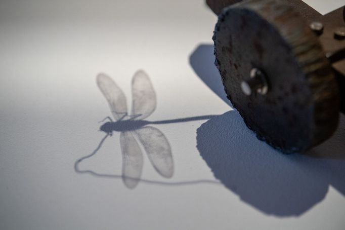 Snímek z výstavy děl Vratislava Karla Nováka v Galerii Středočeského kraje.