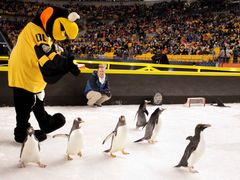 Winter Classic NHL: Pittsburgh Penguins vs. Philadelphia Flyers