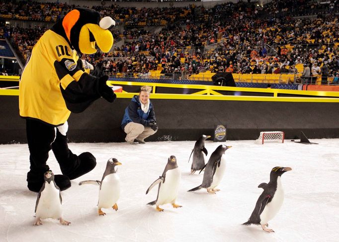 Winter Classic NHL: Pittsburgh Penguins vs. Philadelphia Flyers