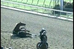 Video: Na derby se srazili koně, jeden nepřežil